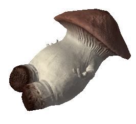 Flailing mushroom